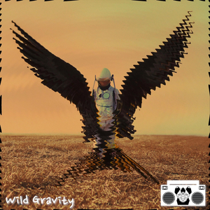 Wild Gravity