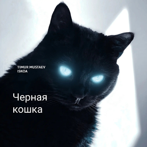 Черная кошка