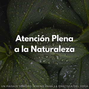 Balada De Aliento De Flor