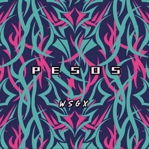 Dwight Henry(BMI)-PESOS（WSGX remix）