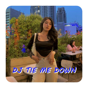 DJ TIE ME DOWN