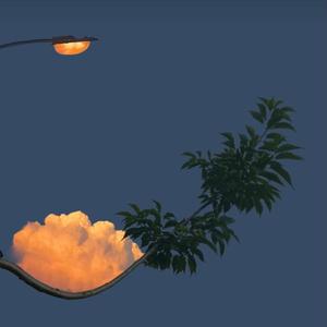 夜的循环 - 2022:7:21 00.00