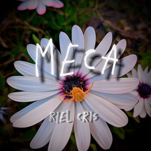 MeCa