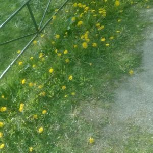 реп про бывшую