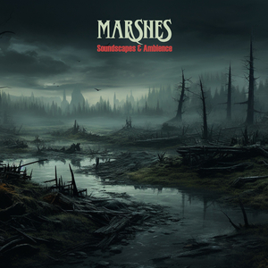 Marshes
