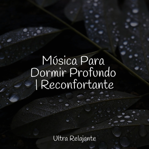 Profundidades Reconfortantes