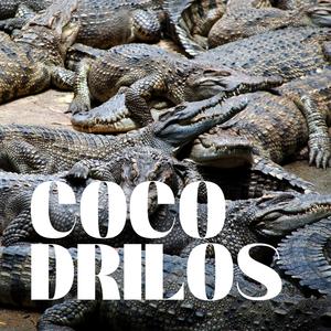 Cocodrilos (feat. SALEK)
