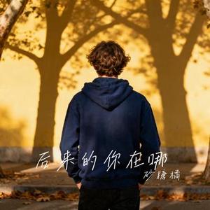后来的你在哪