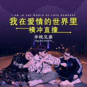 我在爱情的世界里横冲直撞 (DJ默涵版) 伴奏