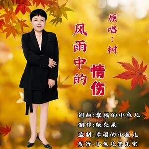 风雨中的情伤 女版