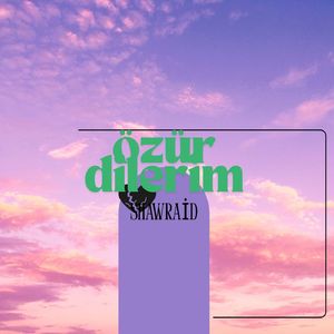 Özür Dilerim