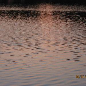 《我想对你说》风弦_20220516_225003_20220516_232135