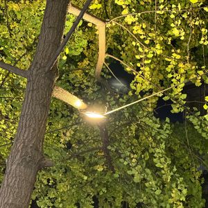 心湖宁静处的快乐宝藏