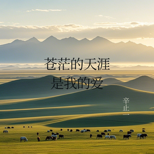 苍茫的天涯是我的爱