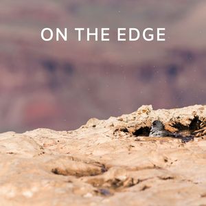 Looking Forward, Looking Backward