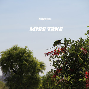 Miss Take