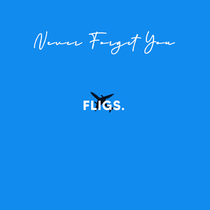 Never Forget You