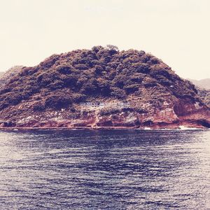 微妙的巴哈马心情