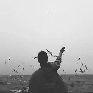 这座城市一点也不开心