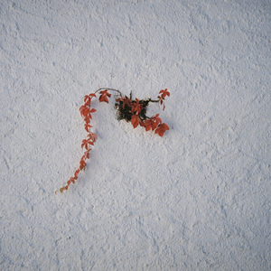 Hide (feat. Tomas Ferdinand)