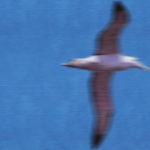 You look like I need a drink