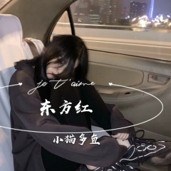 全网最火蹦迪曲 (DJ版)
