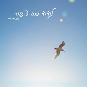 לנדוד כמו ציפור