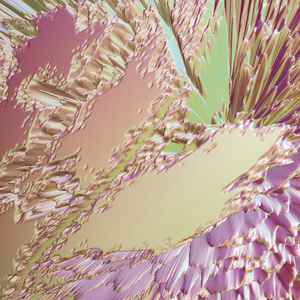 Forest Floor Economics