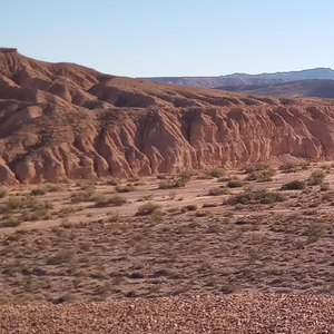 The Mental Treadmill