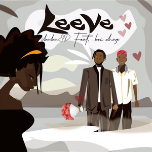 Leeve