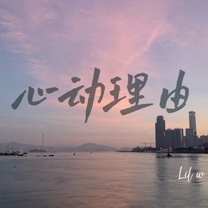 心动理由
