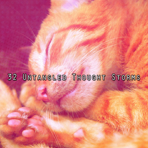 暴風雨之夜關閉