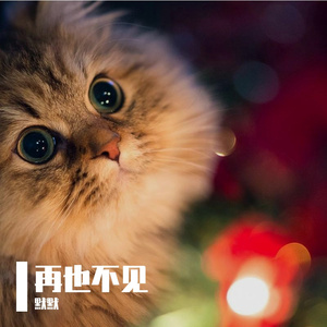 同桌的你