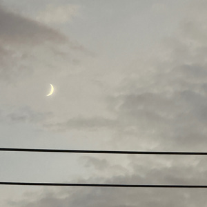 别叹-朝雪录 影视原声带