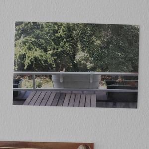 I've Got a Squirrel on the Balcony