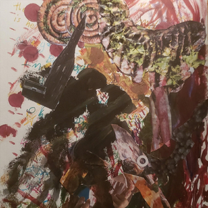 entering the land of the warjox