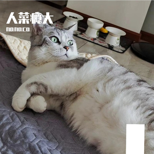 Casino （cover：v flower)