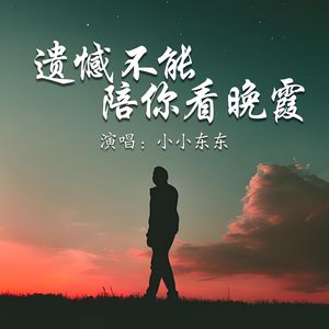 遗憾不能陪你看晚霞