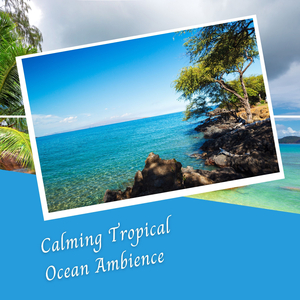 Calming Tropical Ocean Ambience - 2 Hours