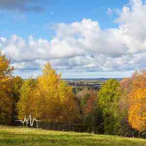 如果没有如果 (催眠曲)