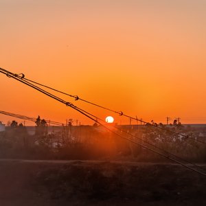 Just wishing for something