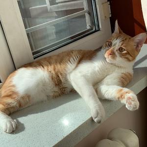 我们到最后终于变成朋友