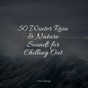 Forest, Birds, River