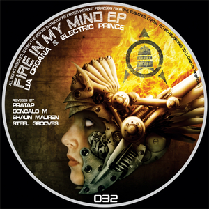 Fire In My Mind (Steel Grooves Remix)