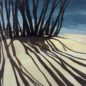 날개 아래 하얀 깃털