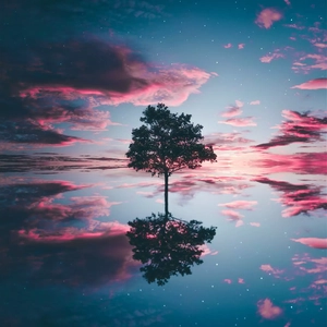 轻空8