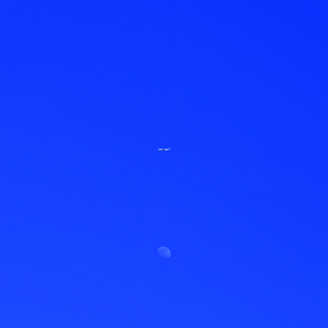 틱톡 (with 강혜원)