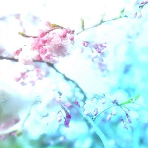 AquaMarine