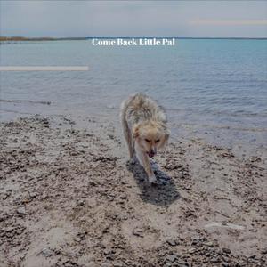 Charles Williams Jealous Lover