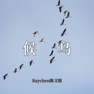 候鸟